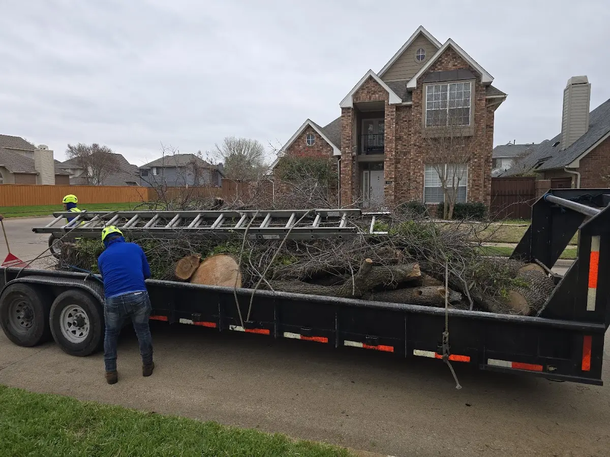 Expert Lot Clearing with proper safety equipment in Rush Center
